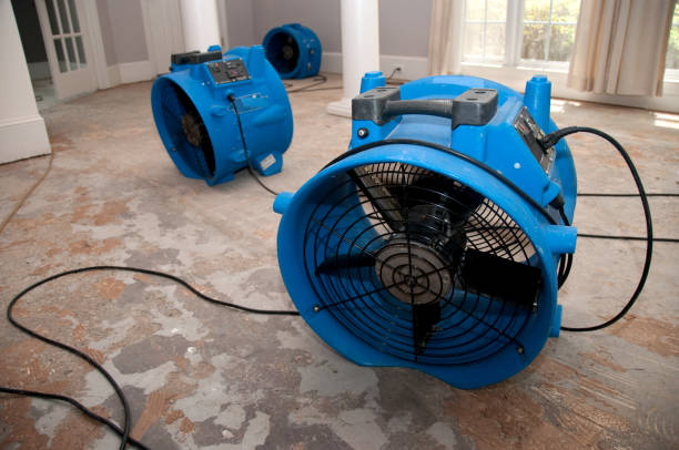 Best Flood damage cleanup  in Lancaster, SC