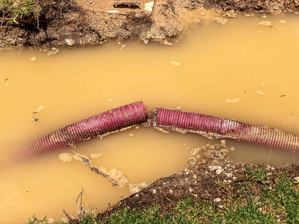 Best Flood restoration services  in Lancaster, SC